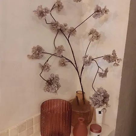 Stylish Apartamento *